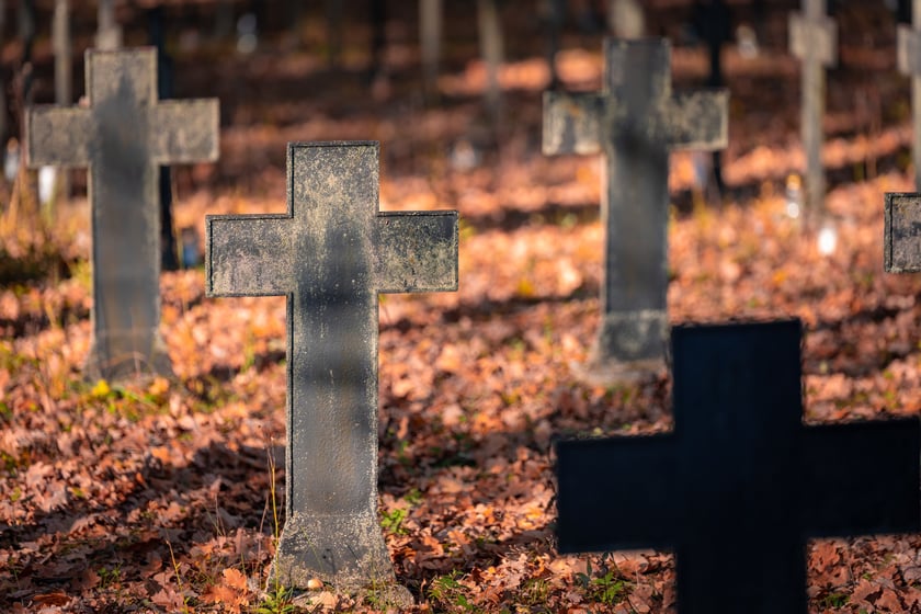 Cmentarz Osobowicki o poranku 1 listopada 2025