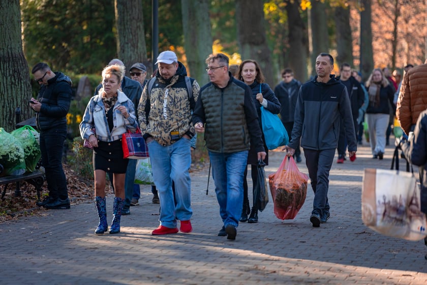 Cmentarz Osobowicki o poranku 1 listopada 2025