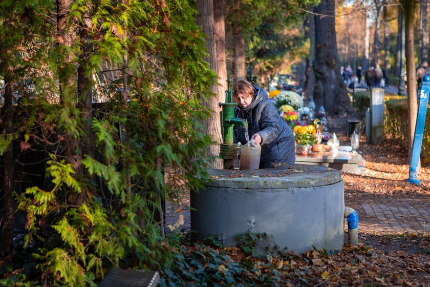 Cmentarz Osobowicki o poranku 1 listopada 2025