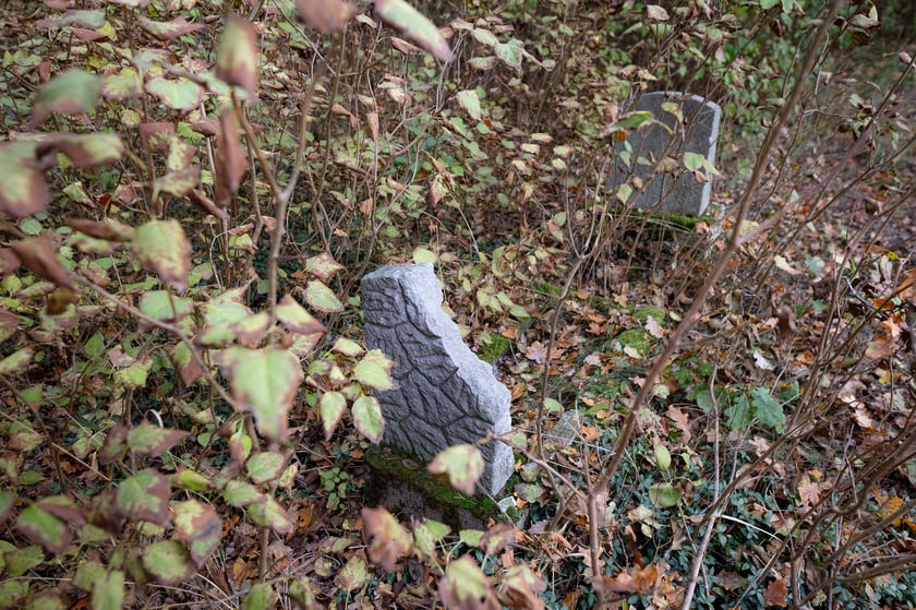 Cmentarz ewangelicki w Grabownicy - w środku pola, w niewielkim zagajniku