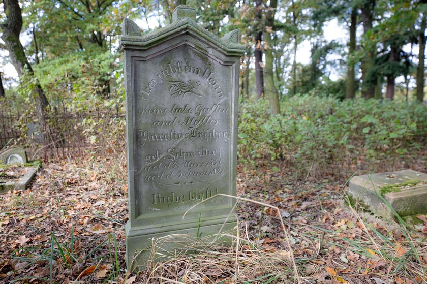 Cmentarz ewangelicki w Grabownicy - w środku pola, w niewielkim zagajniku