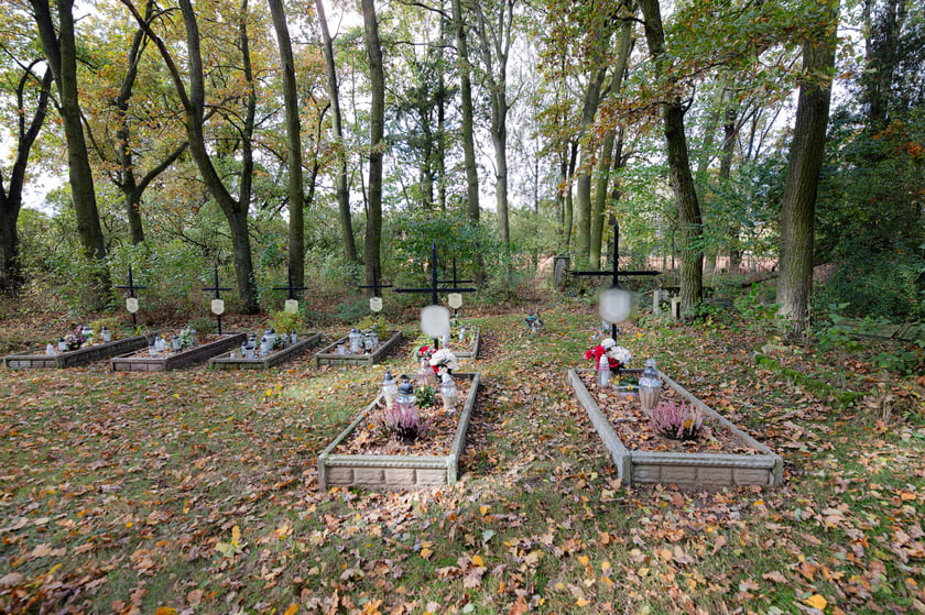 Cmentarz ewangelicki w Grabownicy - w środku pola, w niewielkim zagajniku