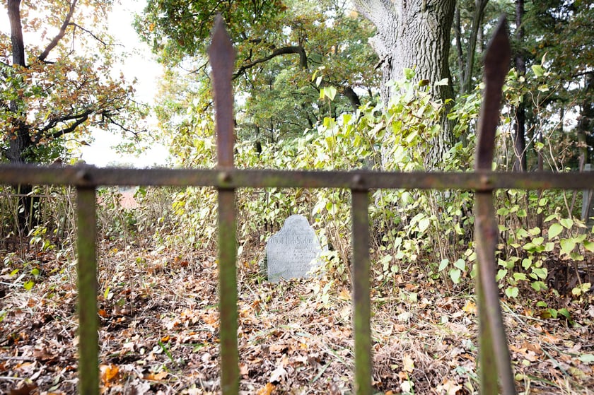 Cmentarz ewangelicki w Grabownicy - w środku pola, w niewielkim zagajniku