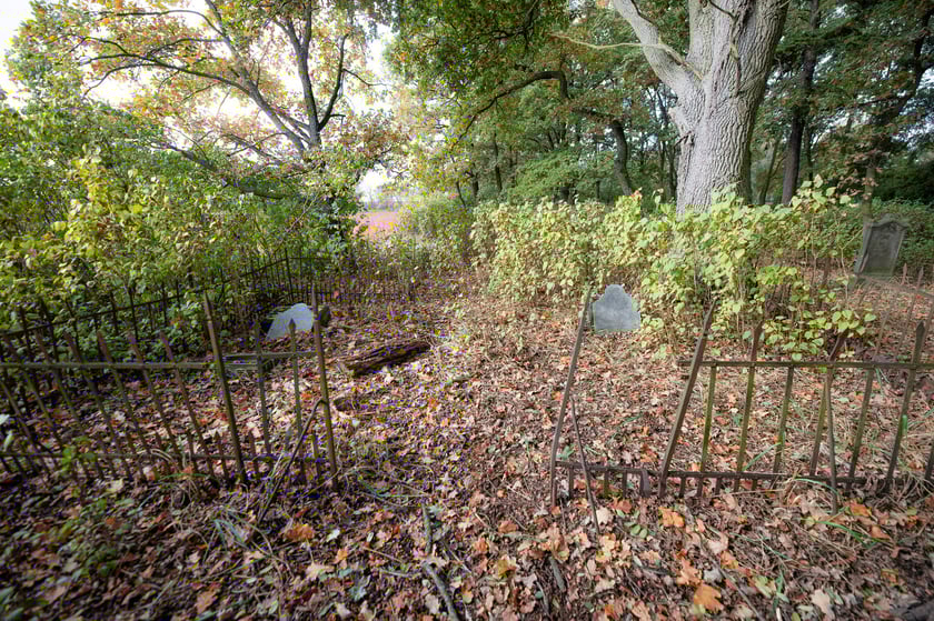 Cmentarz ewangelicki w Grabownicy - w środku pola, w niewielkim zagajniku