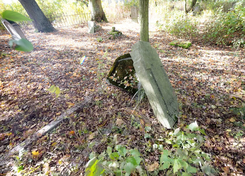 Cmentarz ewangelicki w Grabownicy - w środku pola, w niewielkim zagajniku