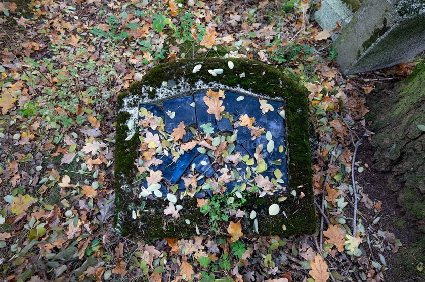 Cmentarz ewangelicki w Grabownicy - w środku pola, w niewielkim zagajniku