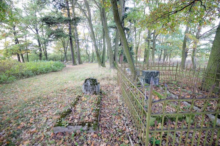 Cmentarz ewangelicki w Grabownicy - w środku pola, w niewielkim zagajniku