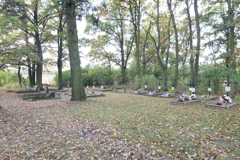 Cmentarz ewangelicki w Grabownicy - w środku pola, w niewielkim zagajniku