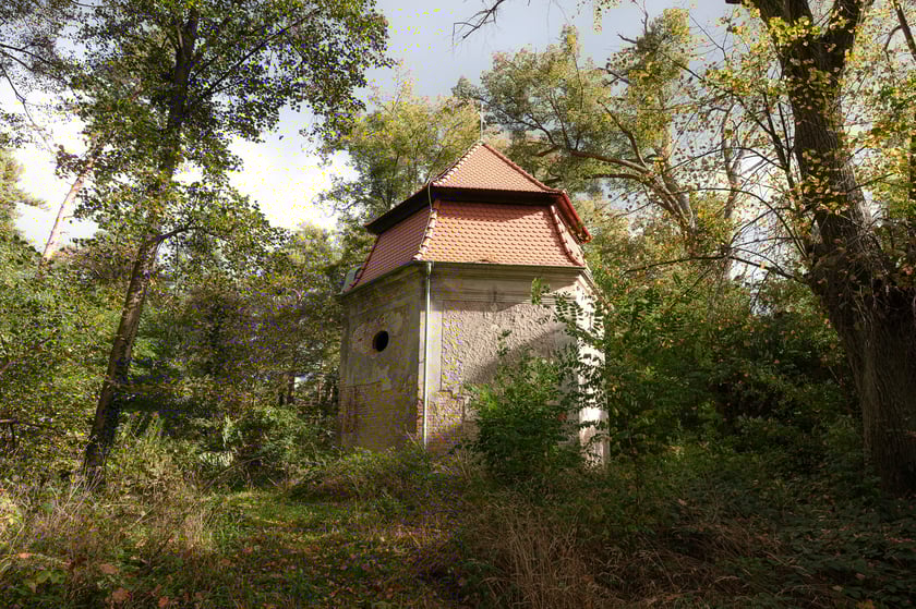 Mauzoleum Hochberg&oacute;w w Wąbnicach - budynek w środku lasu