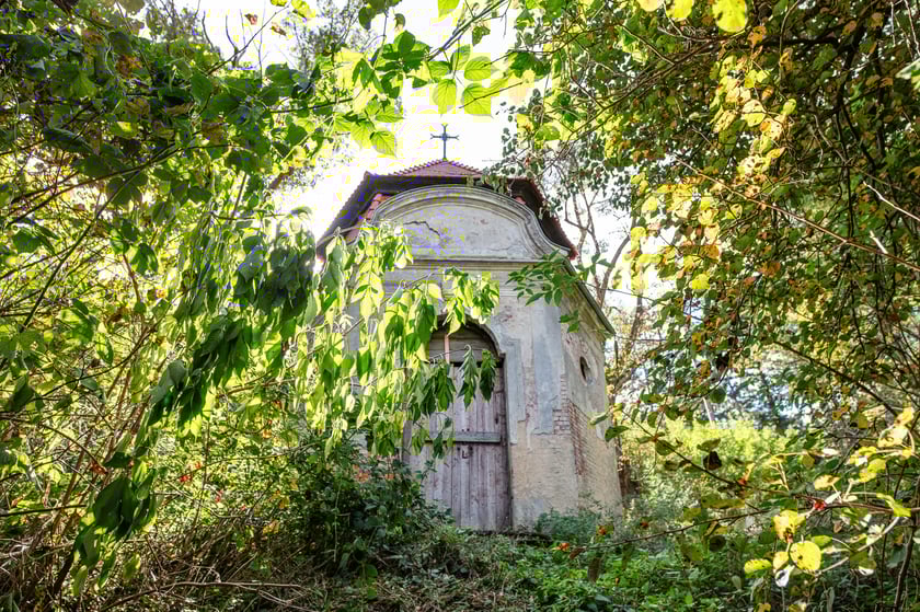 Mauzoleum Hochberg&oacute;w w Wąbnicach - budynek w środku lasu