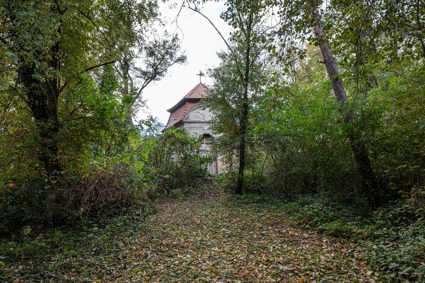 Mauzoleum Hochberg&oacute;w w Wąbnicach - budynek w środku lasu