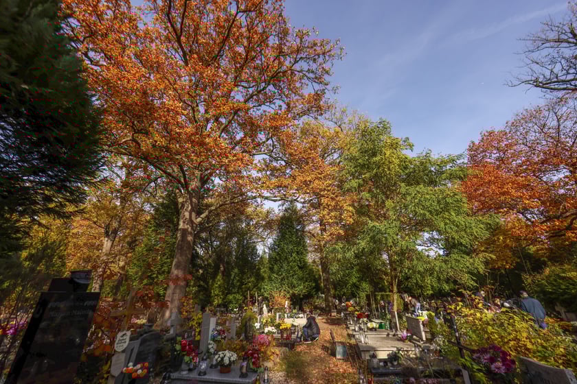 Popołudnie Wszystkich Świętych 2025 na cmentarzu Grabiszyńskim