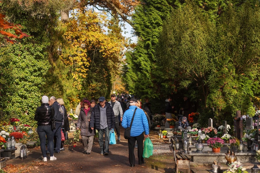 Popołudnie Wszystkich Świętych 2025 na cmentarzu Grabiszyńskim