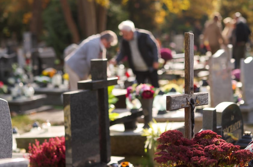 Popołudnie Wszystkich Świętych 2025 na cmentarzu Grabiszyńskim