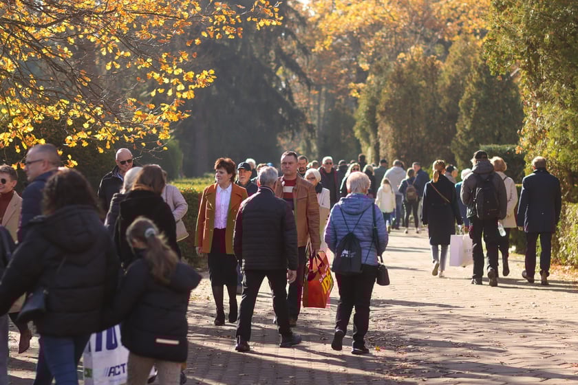 Popołudnie Wszystkich Świętych 2025 na cmentarzu Grabiszyńskim