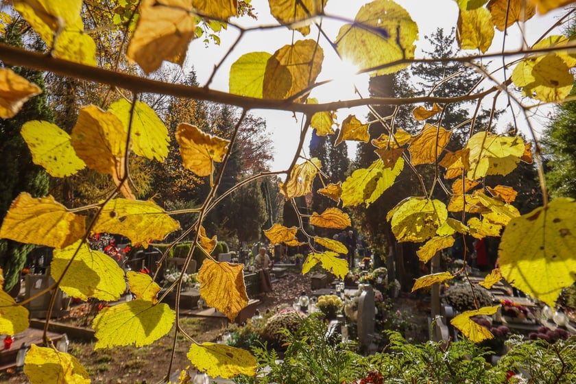 Popołudnie Wszystkich Świętych 2025 na cmentarzu Grabiszyńskim