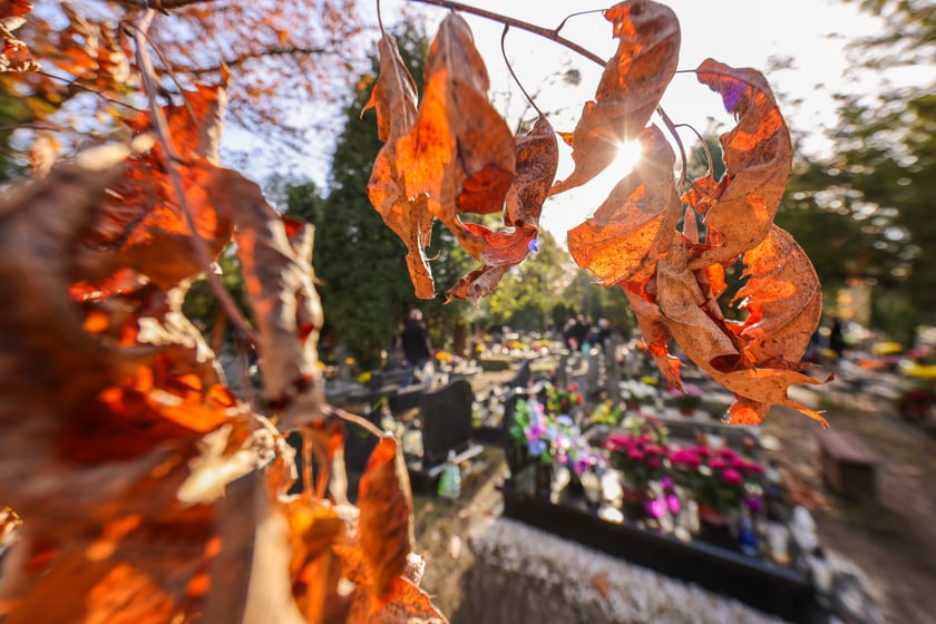Popołudnie Wszystkich Świętych 2025 na cmentarzu Grabiszyńskim