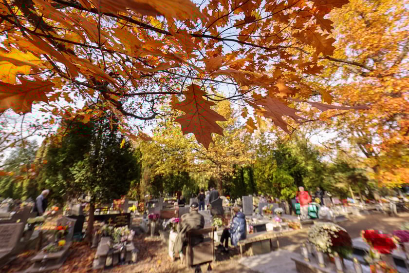 Popołudnie Wszystkich Świętych 2025 na cmentarzu Grabiszyńskim