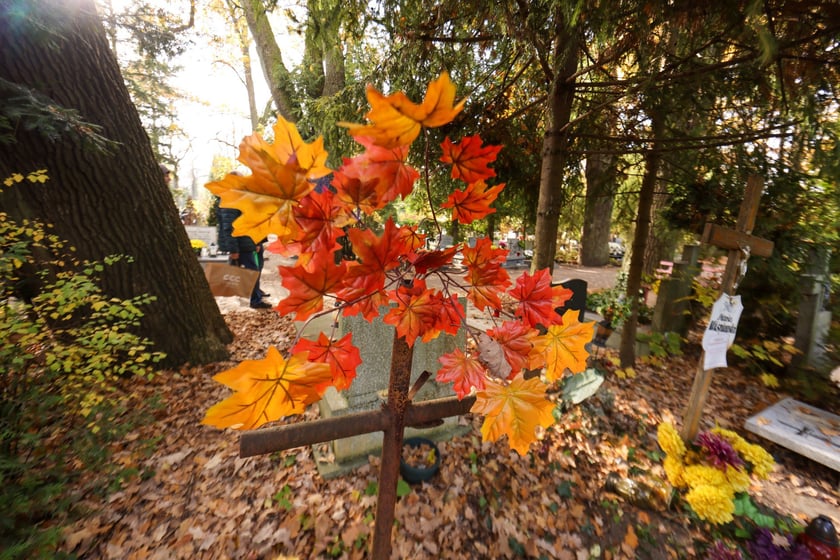 Popołudnie Wszystkich Świętych 2025 na cmentarzu Grabiszyńskim