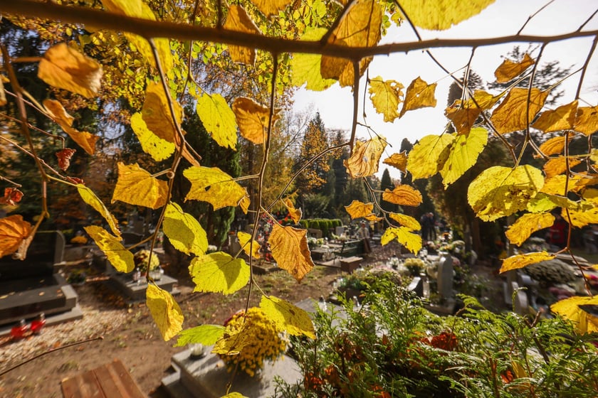 Popołudnie Wszystkich Świętych 2025 na cmentarzu Grabiszyńskim