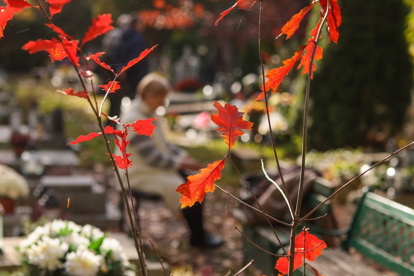 Popołudnie Wszystkich Świętych 2025 na cmentarzu Grabiszyńskim