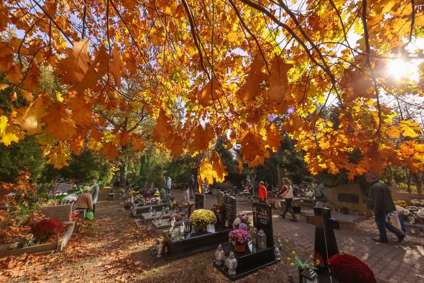 Popołudnie Wszystkich Świętych 2025 na cmentarzu Grabiszyńskim