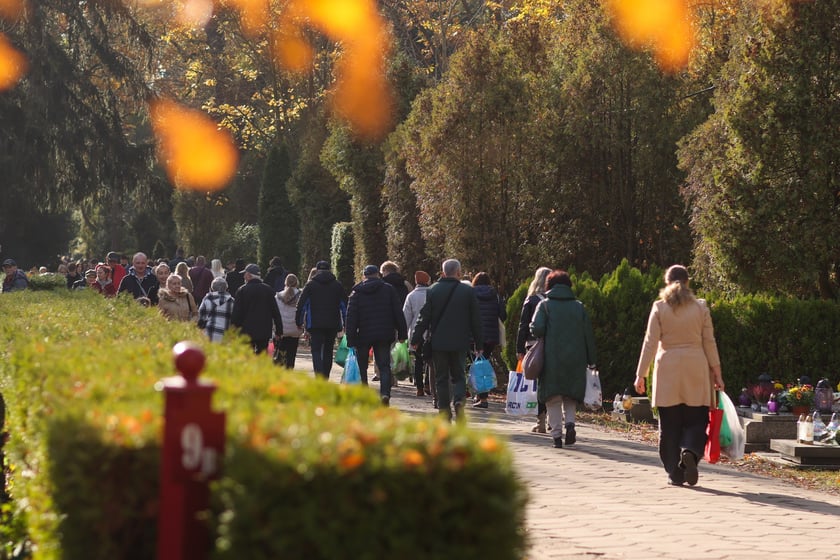 Popołudnie Wszystkich Świętych 2025 na cmentarzu Grabiszyńskim