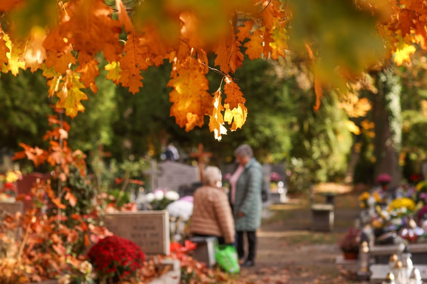 Popołudnie Wszystkich Świętych 2025 na cmentarzu Grabiszyńskim