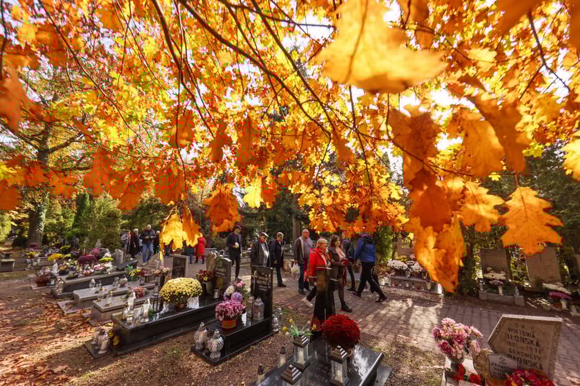 Popołudnie Wszystkich Świętych 2025 na cmentarzu Grabiszyńskim