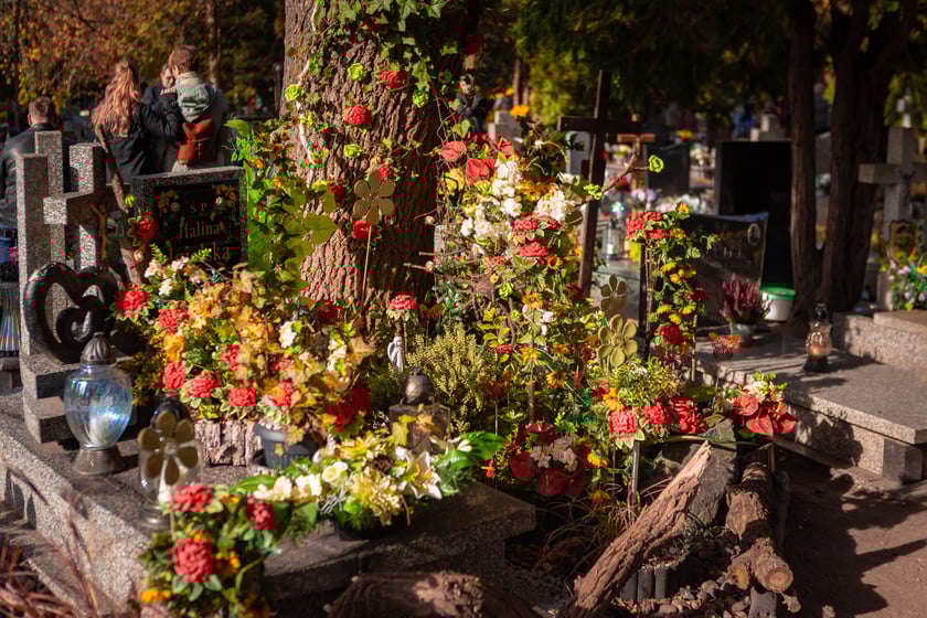 Popołudnie 1 listopada 2025 na cmentarzu Grabiszyńskim