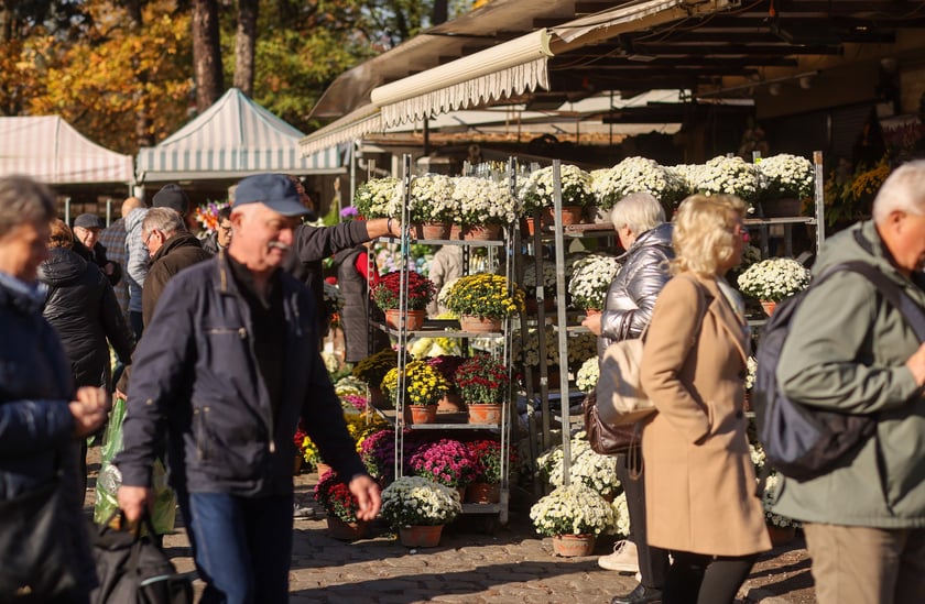 Poranek na cmentarzu Osobowickim, 1 listopada 2025