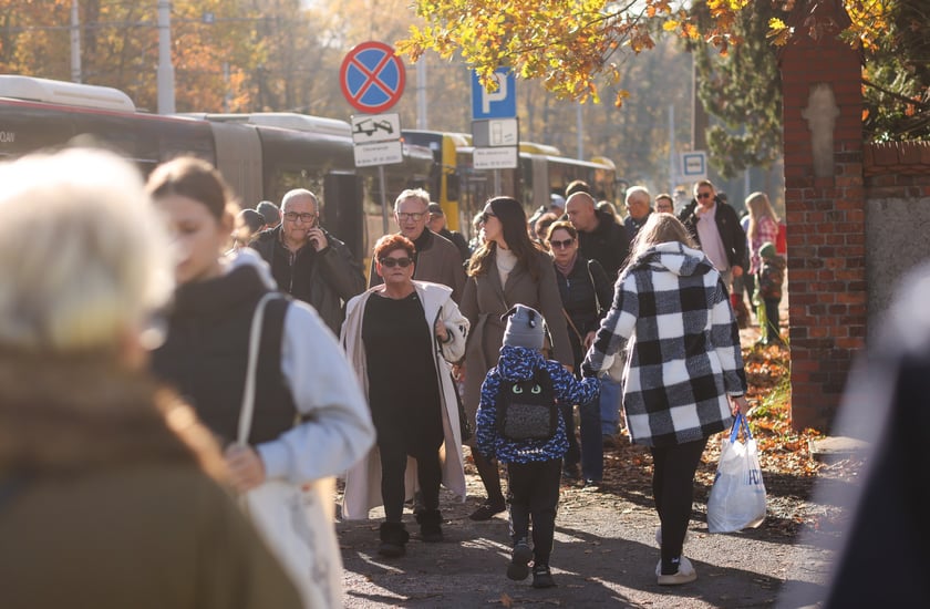 Poranek na cmentarzu Osobowickim, 1 listopada 2025