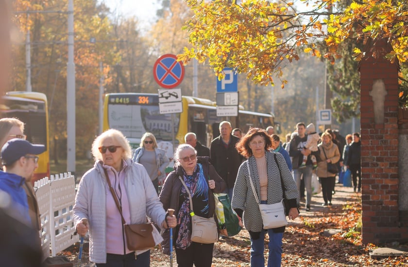 Poranek na cmentarzu Osobowickim, 1 listopada 2025