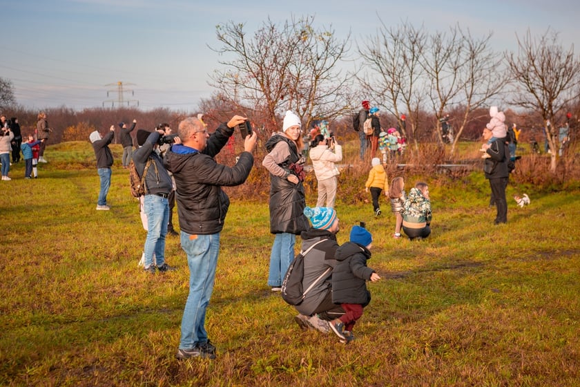 Fiesta balonowa we Wrocławiu, 11 listopada 2025 r.