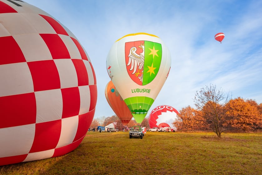Fiesta balonowa we Wrocławiu, 11 listopada 2025 r.