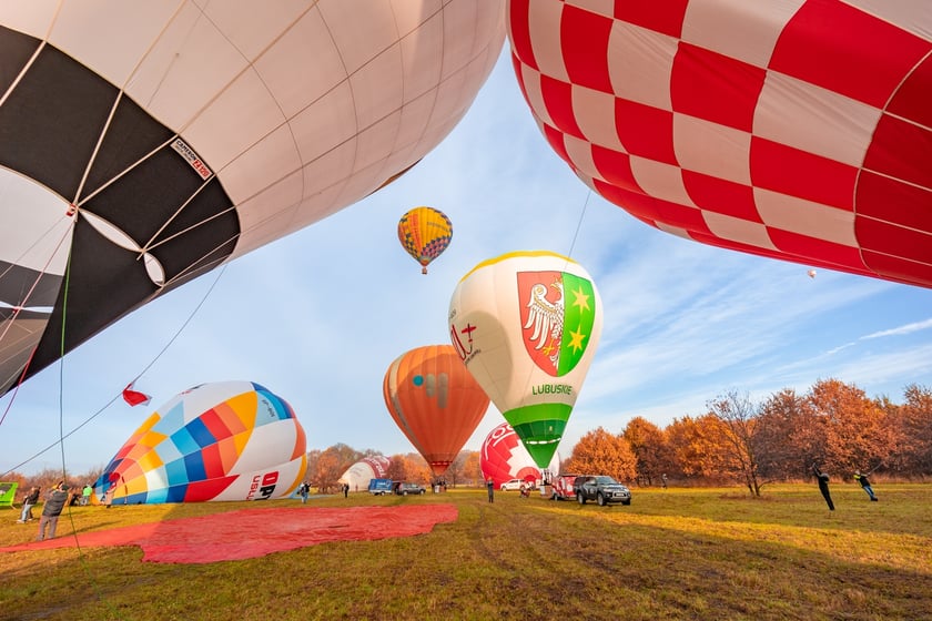 Fiesta balonowa we Wrocławiu, 11 listopada 2025 r.