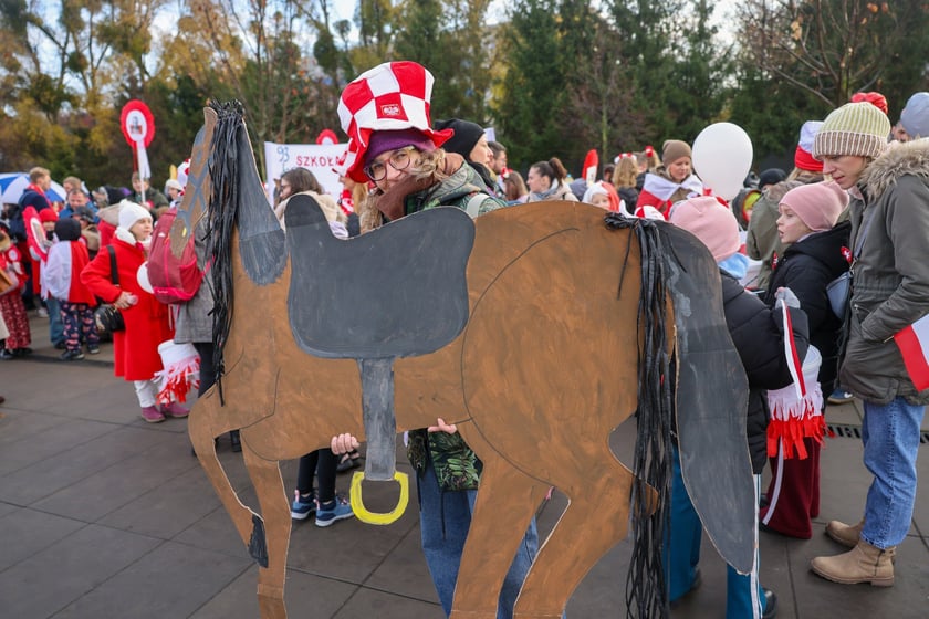 Radosna Parada Niepodległości. Wrocław 2025