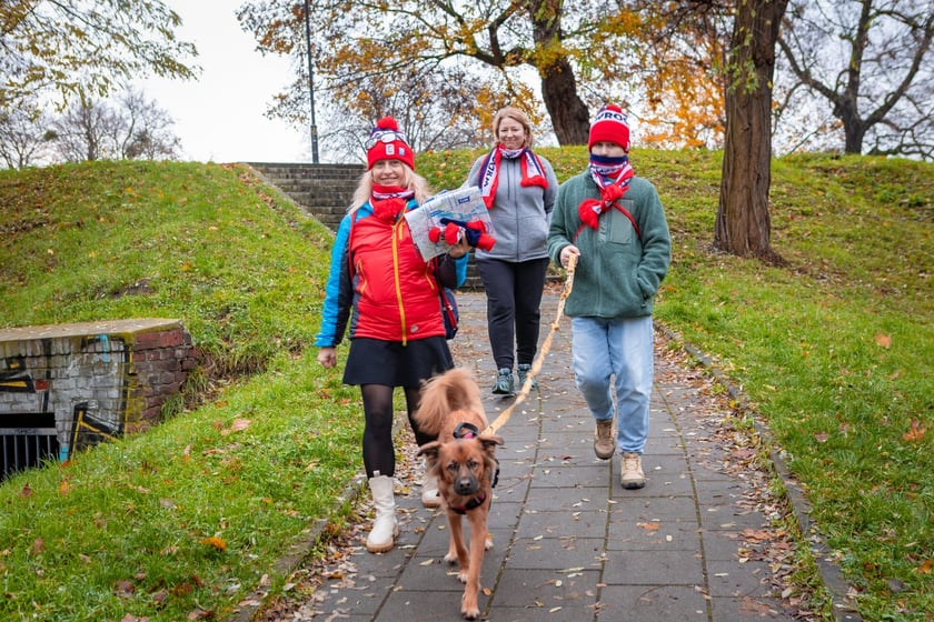 WrocWalk 2025  - Wrocław 11 listopada 2025