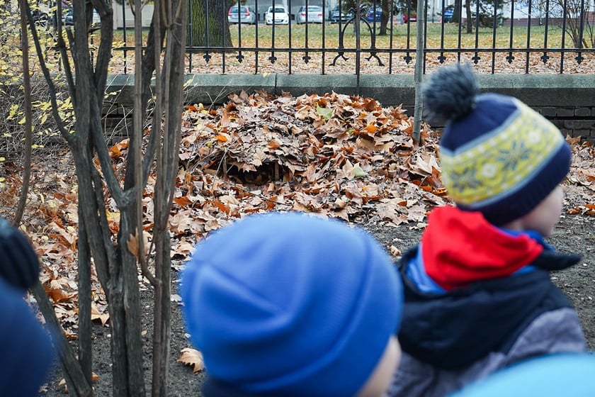 Lekcja ekologii w Przedszkolu nr 109 we Wrocławiu