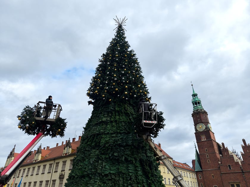 Choinka na Rynku w budowie 18 listopada 2025 roku