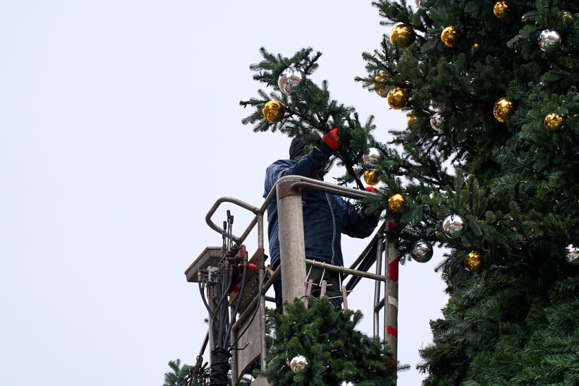 Choinka na Rynku w budowie 18 listopada 2025 roku