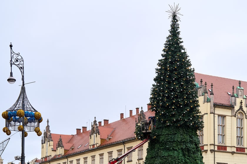 Choinka na Rynku w budowie 18 listopada 2025 roku