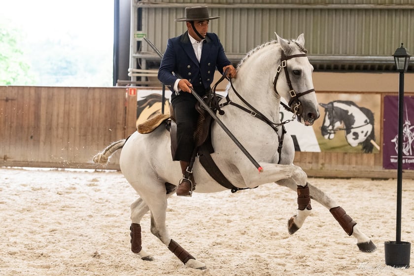 Powiększ obraz: David Oliveira trener kadry Polski