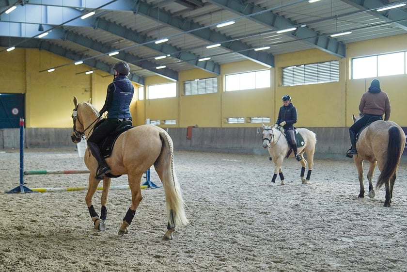 Na Partynicach rozgrywano Mistrzostwa Polski w Working Equitation.