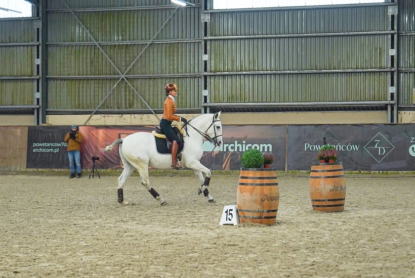 Na Partynicach rozgrywano Mistrzostwa Polski w Working Equitation.