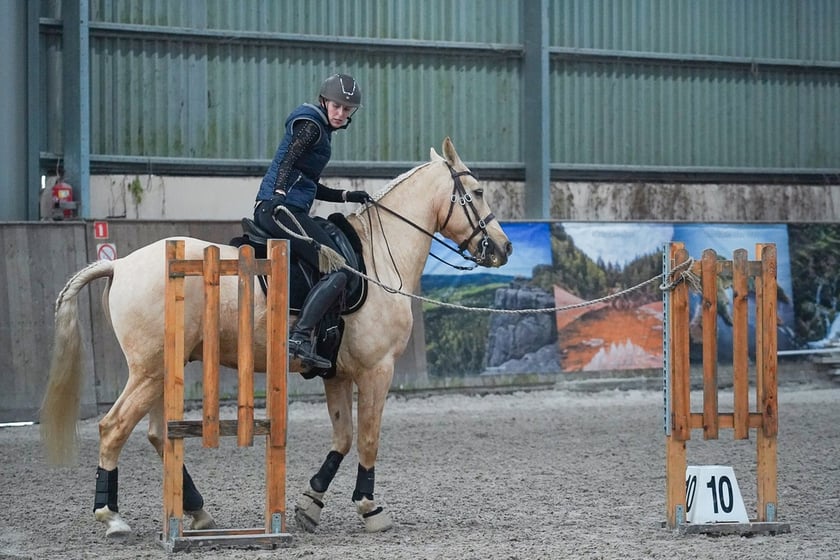 Na Partynicach rozgrywano Mistrzostwa Polski w Working Equitation.