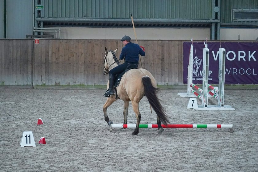 Na Partynicach rozgrywano Mistrzostwa Polski w Working Equitation.