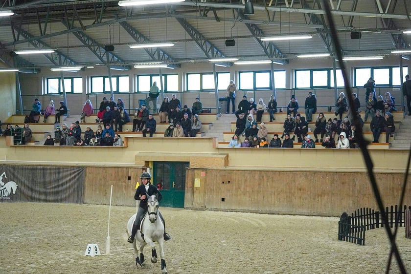 Na Partynicach rozgrywano Mistrzostwa Polski w Working Equitation.