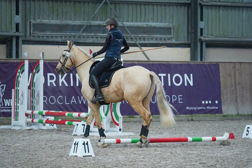 Na Partynicach rozgrywano Mistrzostwa Polski w Working Equitation.