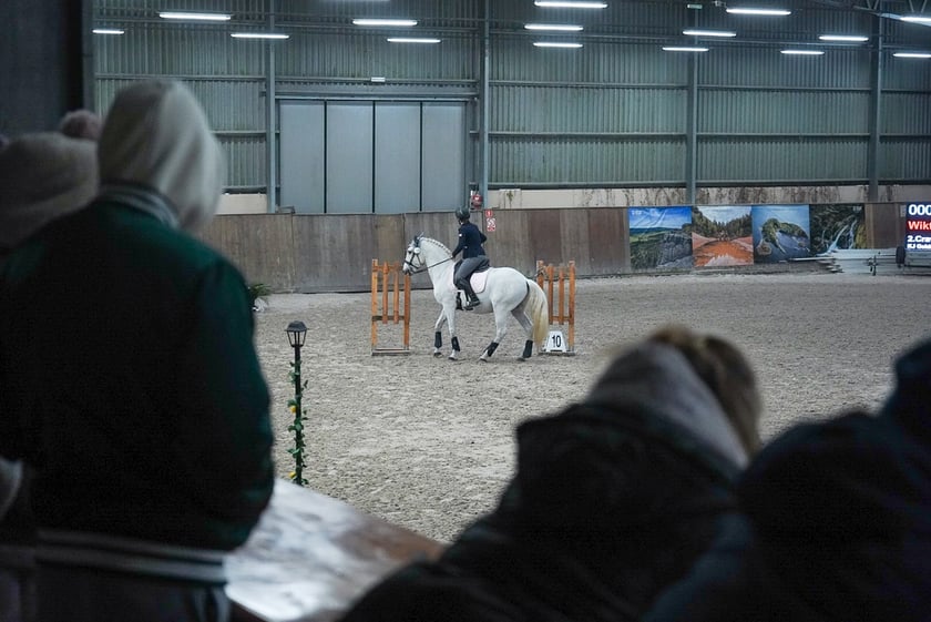 Na Partynicach rozgrywano Mistrzostwa Polski w Working Equitation.